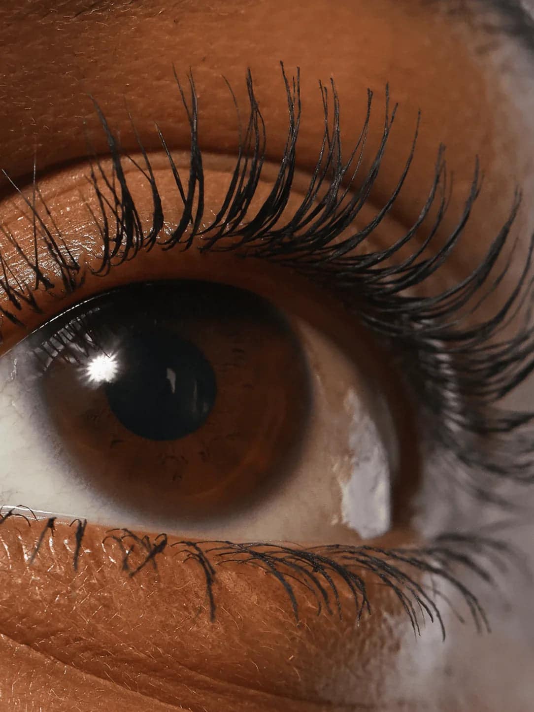 Refy Lash Sculpt – Kirpik Şekillendirici - Mind Türkiye