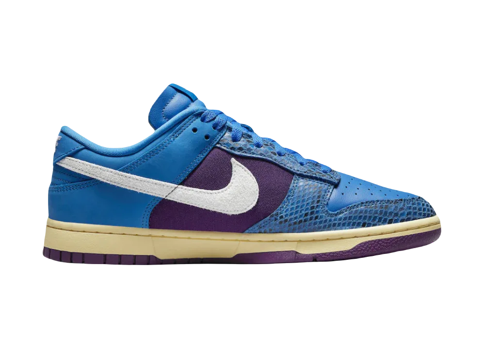 Nike Dunk Low Undefeated 5 On It